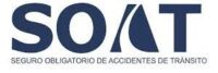 seguroestadosoat.online
